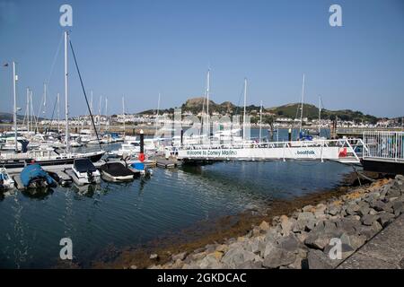 Yachten und Boote, die in Conwy Marina, einem künstlichen Hafen in der Mündung von Conwy, North Wales, Großbritannien, festgemacht sind Stockfoto