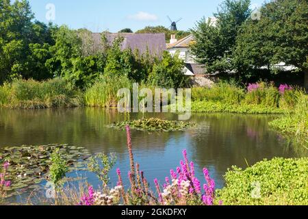 Blick über Rottingdean in Richtung Beacon Mill (New Mill) auf dem Hügel, vom Dorf Green und Teich aus gesehen. Rottingdean, Großbritannien (127) Stockfoto