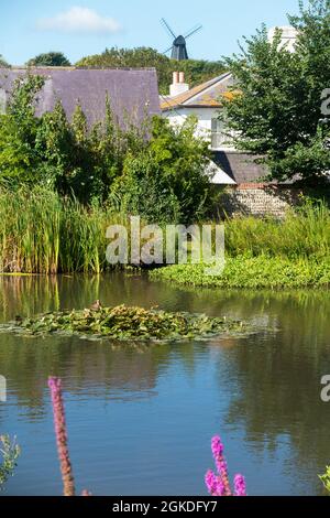 Blick über Rottingdean in Richtung Beacon Mill (New Mill) auf dem Hügel, vom Dorf Green und Teich aus gesehen. Rottingdean, Großbritannien (127) Stockfoto