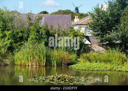 Blick über Rottingdean in Richtung Beacon Mill (New Mill) auf dem Hügel, vom Dorf Green und Teich aus gesehen. Rottingdean, Großbritannien (127) Stockfoto