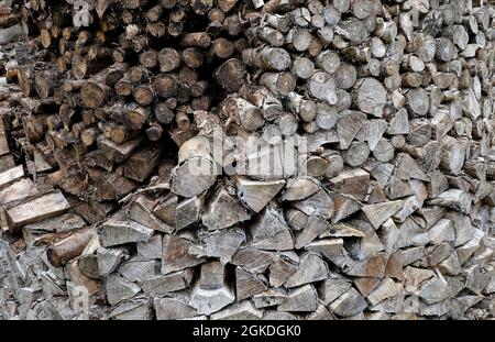 Stapel von ordentlich gestapelten Brennholzstämmen, North yorkshire, england Stockfoto