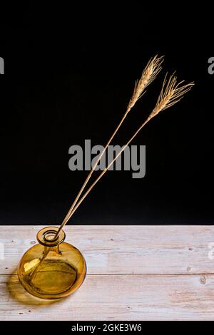 Goldene Glasvase mit zwei getrockneten Ähren aus Weizen Stockfoto