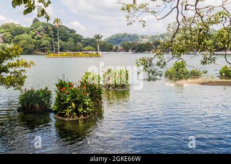 Bogambara See in Kandy, Sri Lanka Stockfoto