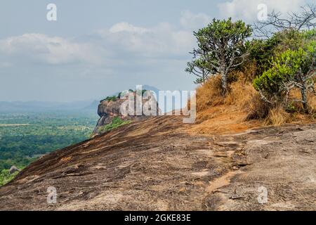 Blick auf Sigiriya Lion Rock vom nahe gelegenen Pidurangala Rock, Sri Lanka Stockfoto