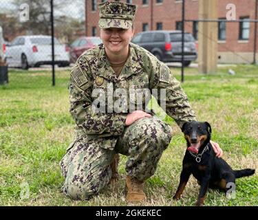 MARINESTÜTZPUNKT NORFOLK, VA. (31. März 2021) - Molly Crawford und ihr militärischer Arbeitshund Tina stehen für ein Foto in der Militärarbeitshunde-Zuchtstätte an Bord der Marinestützpunkt Norfolk, März 31. Tina ist einer von vielen militärischen Arbeitshunden auf der Basis, die in der Bombenerkennung geschult sind. Stockfoto