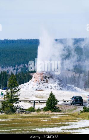 White Dome Geyser bricht im Yellowstone National Park aus Stockfoto