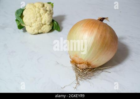 Eine riesige Zwiebel und/oder ein winziger Blumenkohl auf Marmoroberfläche - ein oder beide Gemüse ist ungewöhnlich klein oder unerwartet groß. Zwiebel ist größer als Cauli. Stockfoto