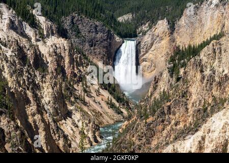 Wasserfall am Grand Canyon des Yellowstone Nationalparks Stockfoto