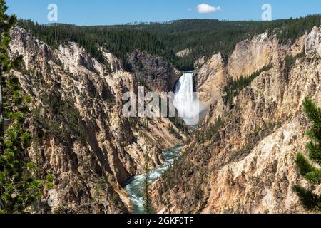 Wasserfall am Grand Canyon des Yellowstone Nationalparks Stockfoto