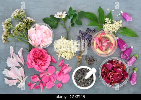 Natürliche pflanzliche Medizin Vorbereitung mit Kräutern und Blumen. Pflanzliches alternatives Gesundheitskonzept für Behandlungen mit ätherischen Ölen. Stockfoto