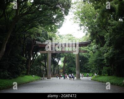 Größtes Torii-Tor in Japan am Meiji Jingu-Schrein in Tokio Stockfoto