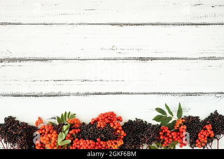 Herbst-Wildfrüchte auf weißen Brettern, Hintergrund mit Platz für Text, Stockfoto