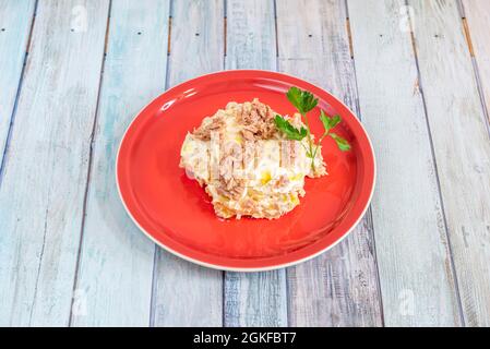 Schöner roter Teller auf einem Tisch aus pastellfarbenen Brettern mit einer Portion russischem Salat mit Thunfisch und gekochtem Ei Stockfoto