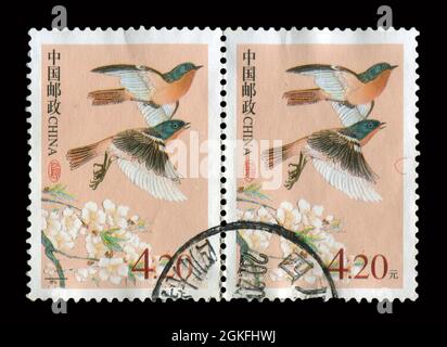 2 STÜCK IN China GEDRUCKTE STEMPELN zeigen das Bild der Vögel. Stockfoto