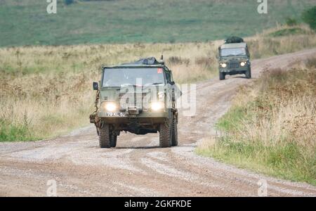 Eine britische Armee Steyr-Daimler-Puch - BAE Systems Pinzgauer Hochmobilitäts-Allradantrieb 6x6 AWD auf Militärübung Wilts UK Stockfoto