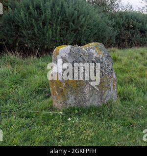 Schlachtfeld von Culloden in Schottland. Isolierter Grabstein für Clan Mackintosh mit Hintergrund aus Gras und anderem Grün. Stockfoto