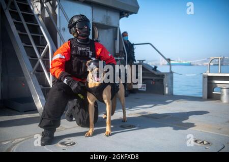 Die Küstenwache Kelly und ihr Handler Petty Officer der 2. Klasse, Jacob Brasker, Mitglieder des Maritime Safety and Security Teams Los Angeles/Long Beach, erwarten während des Trainings in der San Francisco Bay, 13. April 2021, eine Hebevorstrecke von einem Dolphin Helicopter der Air Station San Francisco MH-65. Das Hoist-Training ermöglicht es dem Hund und seinem Handler, bequem im und um das Flugzeug zu arbeiten. Stockfoto