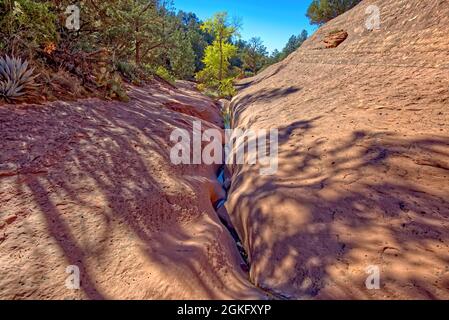 Spalt im Sandstein entlang des Munds Wagon Trail in der Wildnis des Munds Mountain in der Nähe von Sedona Arizona. Diese Art der Erosion über einen langen Zeitraum von Stockfoto