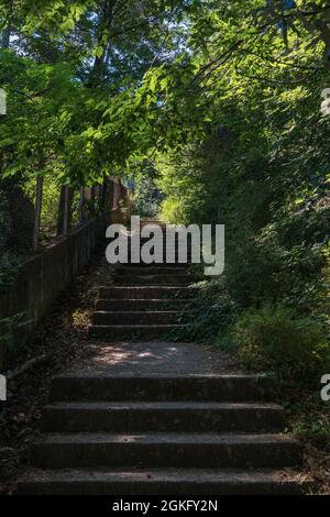 Treppe zwischen einem alten Zaun und überwucherter Büsche. Stockfoto