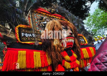 Barongan- oder Reog-Maske in Form eines Tigers, verziert mit Pfauenfedern, wenn sie am Karneval teilnehmen. Stockfoto