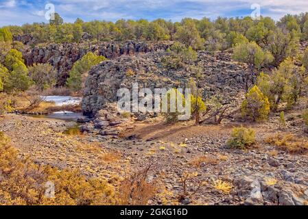 Basalt Cliffs of Devil Dog Canyon in der Nähe von Drake Arizona im Kaibab National Forest. Basalt ist ein unverschämliches vulkanisches Gestein. Weil es Winter gibt Stockfoto