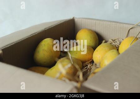 Alphonso Mangos wurden auf Heu gehalten, in der Verpackung. Sie sind oval und etwa 4 bis 6 Zoll lang. Die Haut ist goldgelb in der Farbe und weit verbreitet Stockfoto