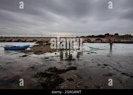 Berwick upon Tweed, Northumberland, England, Großbritannien, 14. September 2021. Die letzte Flut der Lachsnetzsaison 2021 auf dem River Tweed für die Fischer von Gardo in Berwick upon Tweed haben Fischer diese Fischerei aus dem Vormittelalter mit derselben Fangmethode bearbeitet. Gardo ausgesprochen Gardi, der Name überlebt nur in seiner ursprünglichen Form wegen seiner Verwendung durch die Fischer der Name wurde fälschlicherweise aus der mittelalterlichen Schrift transkribiert. Gardo ist auch die letzte kommerzielle Lachsnetzstation auf dem Tweed. Stockfoto