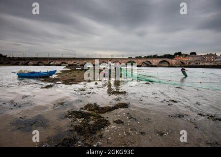 Berwick upon Tweed, Northumberland, England, Großbritannien, 14. September 2021. Die letzte Flut der Lachsnetzsaison 2021 auf dem River Tweed für die Fischer von Gardo in Berwick upon Tweed haben Fischer diese Fischerei aus dem Vormittelalter mit derselben Fangmethode bearbeitet. Gardo ausgesprochen Gardi, der Name überlebt nur in seiner ursprünglichen Form wegen seiner Verwendung durch die Fischer der Name wurde fälschlicherweise aus der mittelalterlichen Schrift transkribiert. Gardo ist auch die letzte kommerzielle Lachsnetzstation auf dem Tweed. Stockfoto