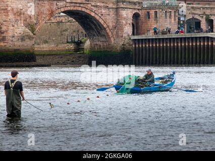 Berwick upon Tweed, Northumberland, England, Großbritannien, 14. September 2021. Die letzte Flut der Lachsnetzsaison 2021 auf dem River Tweed für die Fischer von Gardo in Berwick upon Tweed haben Fischer diese Fischerei aus dem Vormittelalter mit derselben Fangmethode bearbeitet. Gardo ausgesprochen Gardi, der Name überlebt nur in seiner ursprünglichen Form wegen seiner Verwendung durch die Fischer der Name wurde fälschlicherweise aus der mittelalterlichen Schrift transkribiert. Gardo ist auch die letzte kommerzielle Lachsnetzstation auf dem Tweed. Stockfoto