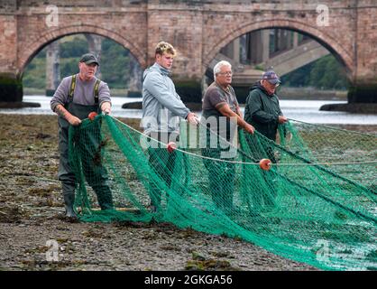 Berwick upon Tweed, Northumberland, England, Großbritannien, 14. September 2021. Die letzte Flut der Lachsnetzsaison 2021 auf dem River Tweed für die Fischer von Gardo in Berwick upon Tweed haben Fischer diese Fischerei aus dem Vormittelalter mit derselben Fangmethode bearbeitet. Gardo ausgesprochen Gardi, der Name überlebt nur in seiner ursprünglichen Form wegen seiner Verwendung durch die Fischer der Name wurde fälschlicherweise aus der mittelalterlichen Schrift transkribiert. Gardo ist auch die letzte kommerzielle Lachsnetzstation auf dem Tweed. Stockfoto