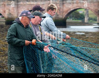 Berwick upon Tweed, Northumberland, England, Großbritannien, 14. September 2021. Die letzte Flut der Lachsnetzsaison 2021 auf dem River Tweed für die Fischer von Gardo in Berwick upon Tweed haben Fischer diese Fischerei aus dem Vormittelalter mit derselben Fangmethode bearbeitet. Gardo ausgesprochen Gardi, der Name überlebt nur in seiner ursprünglichen Form wegen seiner Verwendung durch die Fischer der Name wurde fälschlicherweise aus der mittelalterlichen Schrift transkribiert. Gardo ist auch die letzte kommerzielle Lachsnetzstation auf dem Tweed. Stockfoto