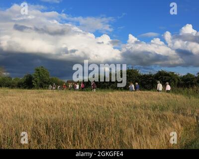 Strahlender Abendsonne, aber dunkle Wolken sammeln sich am Horizont: Eine Spätsommerwanderung durch die Felder in Northamptonshire vor dem Sturm. Stockfoto