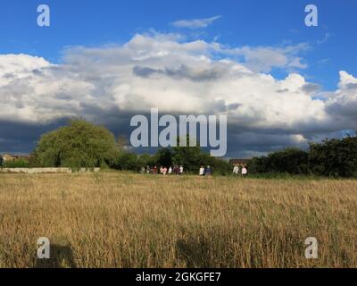 Strahlender Abendsonne, aber dunkle Wolken sammeln sich am Horizont: Eine Spätsommerwanderung durch die Felder in Northamptonshire vor dem Sturm. Stockfoto