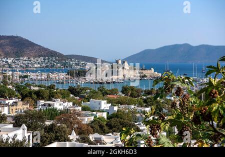 Toller Blick auf die Burg von Bodrum während des Tages Stockfoto