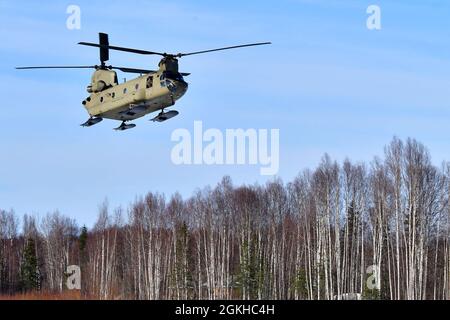 Ein CH-47F Chinook Hubschrauber von B Company, 1. Bataillon, 52. Luftfahrtregiment bereitet sich auf die Landung in Talkeetna, Alaska, vor, 22. April 2021. Flieger der Einheit, auch bekannt als die Zuckerbären, reisten von Fort Wainwright an, um dem National Park Service zu helfen, die notwendige Ausrüstung und Ausrüstung für das Basislager auf der 7,200-Fuß-Ebene des Kahiltna-Gletschers für die Klettersaison 2021 auf Denali zu besorgen, Der höchste Berg in Nordamerika. (Foto der Armee/John Pennell) Stockfoto