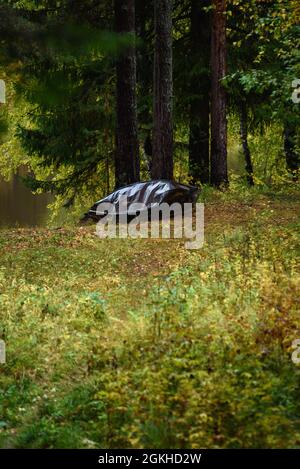 Ein altes Metallboot wird in der Herbstsaison mit eigenen Händen am Ufer des Sees gebaut. Stockfoto