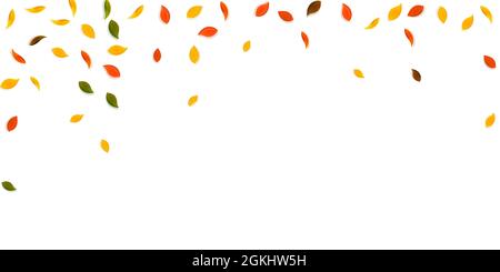 Herbstliche Blätter fallen. Rote, gelbe, grüne, braune zufällige Blätter fliegen. Fallender Regen buntes Laub auf kostbarem weißem Hintergrund. Fesselnd zurück zu Stock Vektor
