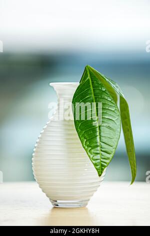 Kleine weiße Vase mit pachira aquatica Blättern und Hintergrund mit viel Bokeh Stockfoto