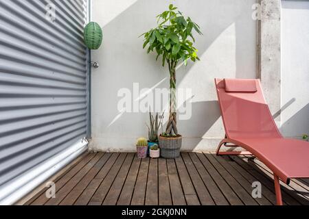 Terrassenbereich in einem großen City-Penthouse mit erdfarbener Hängematte, Holzböden, Stahl- und Betonwänden sowie Pflanzen und Kakteen. Aloe Vera, pachira aqua Stockfoto