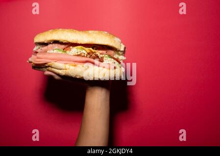 Eine Hand hält einen barda-Kuchen, mexikanischen Kuchen, mexikanisches Essen, mexikanisches Sandwich mit Chiruzo, Schinken, Avocado, Weißkäse, Ceboola, Tomate auf einem französischen Brot, b Stockfoto