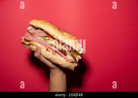 Eine Hand hält einen barda-Kuchen, mexikanischen Kuchen, mexikanisches Essen, mexikanisches Sandwich mit Chiruzo, Schinken, Avocado, Weißkäse, Ceboola, Tomate auf einem französischen Brot, b Stockfoto