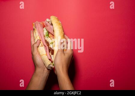 Eine Hand hält einen barda-Kuchen, mexikanischen Kuchen, mexikanisches Essen, mexikanisches Sandwich mit Chiruzo, Schinken, Avocado, Weißkäse, Ceboola, Tomate auf einem französischen Brot, b Stockfoto