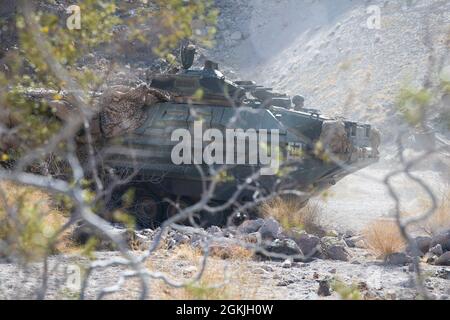 Eine US-Marine mit dem 3. Angriffs-Amphibienbataillon fährt während der Marine Air Ground Task Force (MAGTF) Warfighting Exercise (MWX) 3-21 im Marine Corps Air Ground Combat Center Twentynine Palms, Kalifornien, 3. Mai 2021 ein Angriffs-Amphibienfahrzeug (AAV) in einen verborgenen Ort. MWX forderte die MAGTF auf, sich in einer Force-on-Force-Umgebung gegen einen freidenkenden Gegner mit ähnlichen Fähigkeiten zu wehren. Stockfoto