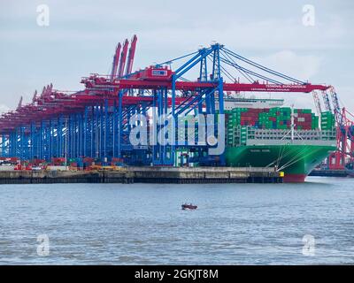 Evergreen - das größte Containerschiff der Welt im Hamburger Hafen Stockfoto