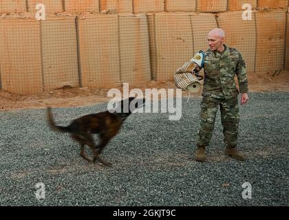 Colonel Calvin B. Powell, Vizekommandant des 435. Air Expeditionary Wings, besuchte am 6. Mai 2021 die Airmen auf dem Chabelley Airfield. Col. Powell hatte viele praktische Gelegenheiten, darunter das Fahren im 776. Expeditionary Air Base Squadron-Feuerwehrauto und eine Demonstration, die die Fähigkeiten der auf dem Chabelley Airfield eingerichteten Militärarbeitshunde zeigte. Stockfoto