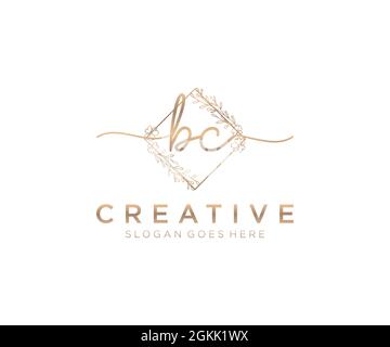 BC feminine Logo Schönheit Monogramm und elegantes Logo-Design, Handschrift Logo der ursprünglichen Signatur, Hochzeit, Mode, Blumen und botanischen mit kreativen Stock Vektor