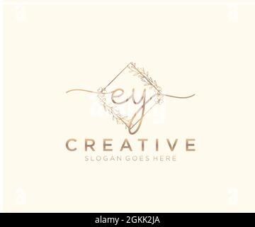 EY feminine Logo Schönheit Monogramm und elegantes Logo-Design, Handschrift Logo der ursprünglichen Signatur, Hochzeit, Mode, Blumen und botanischen mit kreativen Stock Vektor