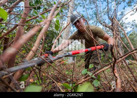 Gunnery Sergeant Blijah Cabrales, 6. Kommunikations-Bataillon, Marine Forces Reserve, Brooklyn, New York, Schneidet überwuchert Äste, während der Räumung einer Baustelle während des Camp Paumalu IRT 2021 im Camp Paumalu, Hawaii, 11. Mai 2021. IRT-Bautechniker-Staffeln werden von Mai bis August 2021 neue Kabinen bauen, alte Strukturen abreißen und das Camp Paumalu verschönern. Innovative Readiness Training baut für beide Seiten vorteilhafte zivil-militärische Partnerschaften zwischen den US-Gemeinden und dem Verteidigungsministerium auf und bietet qualitativ hochwertige, missionskompetative Schulungen für aktive Unterstützung, Wachdienst und reserveunterstützung Stockfoto