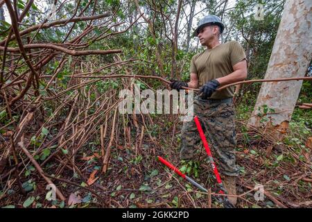 Gunnery Sergeant Blijah Cabrales, 6. Kommunikations-Bataillon, Marine Forces Reserve, Brooklyn, New York, Verschiebt Zweige, die er gerade geschnitten hat, während er einen Arbeitsplatz während des Camp Paumalu IRT 2021 im Camp Paumalu, Hawaii, 11. Mai 2021, geräumt hat. IRT-Bautechniker-Staffeln werden von Mai bis August 2021 neue Kabinen bauen, alte Strukturen abreißen und das Camp Paumalu verschönern. Innovative Readiness Training baut für beide Seiten vorteilhafte zivil-militärische Partnerschaften zwischen US-Gemeinden und dem Verteidigungsministerium auf und bietet qualitativ hochwertige, missionskompetative Schulungen für Aktive, Wachende und Reserve Stockfoto