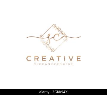 SC feminine Logo Schönheit Monogramm und elegantes Logo-Design, Handschrift Logo der ursprünglichen Signatur, Hochzeit, Mode, Blumen und botanischen mit kreativen Stock Vektor